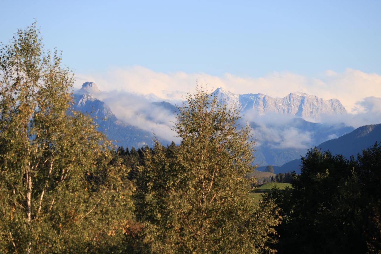 Apartment Mit Eigenem Garten Und Bergblick Oy-Mittelberg